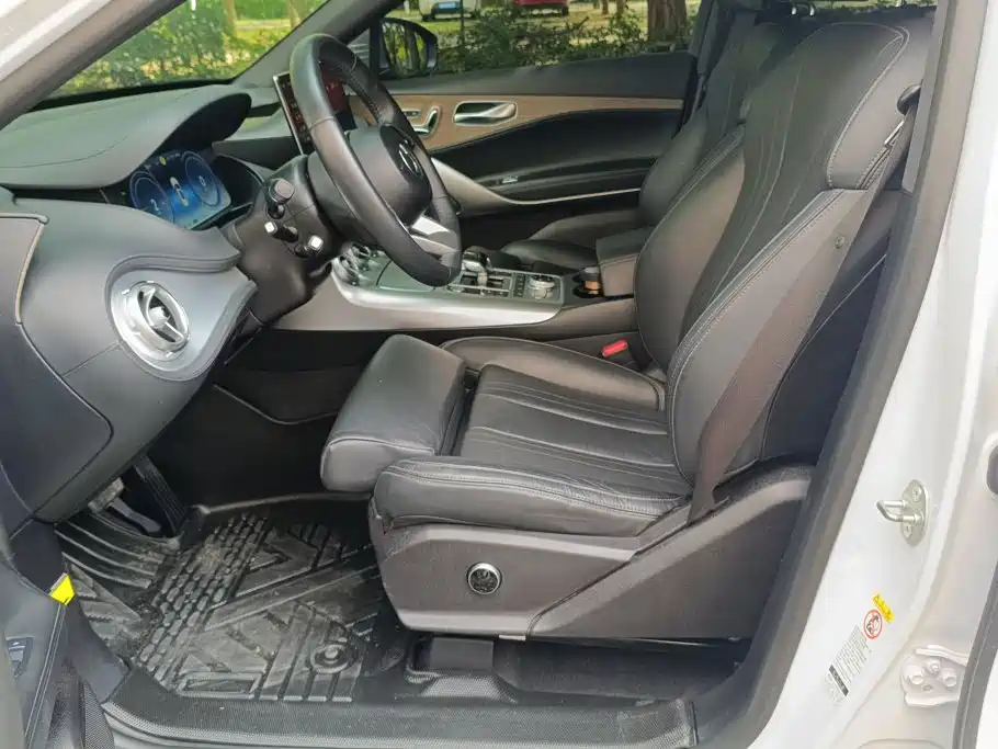 Denza X 2021 2020 Model PHEV Flagship Edition