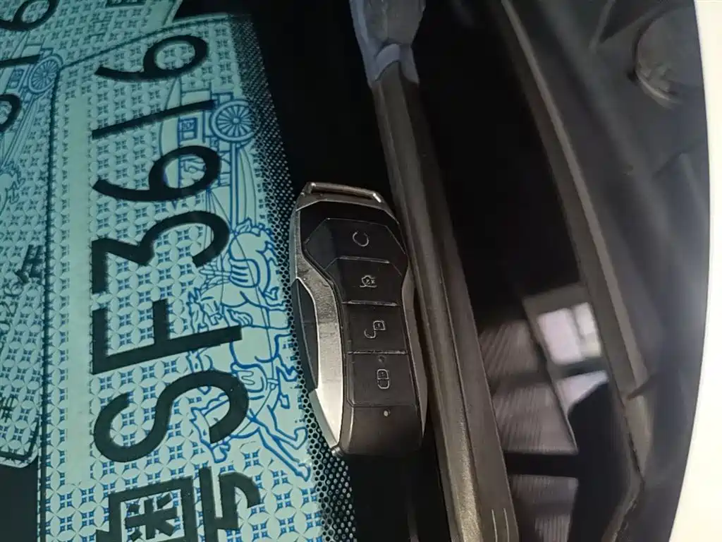 Denza X 2020 Model PHEV Flagship Edition фото 9