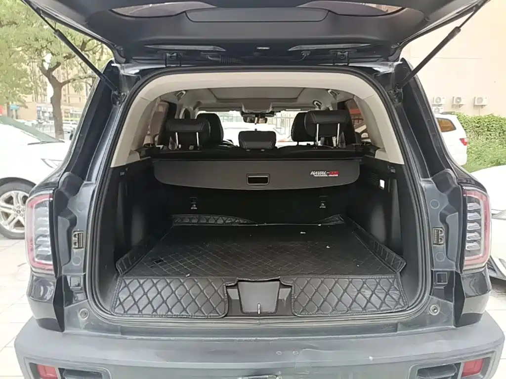 Photo 19 - Haval Dargo