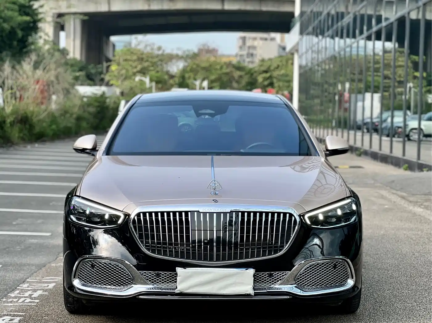 Mercedes-Benz S-Class 2023 Model S 400 L Business Edition фото 2