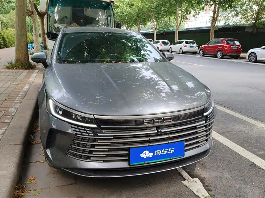 BYD Destroyer 05 2023 Champion Edition DM-i 120KM Premium фото 2