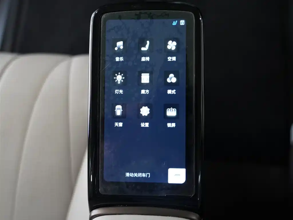 Denza D9 2022 DM-i 970 AWD Flagship фото 14