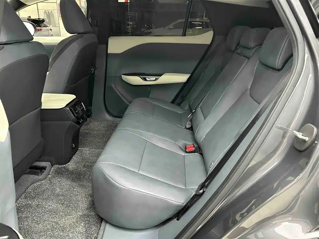 Lexus RZ 2023 450e 4WD Deluxe фото 14