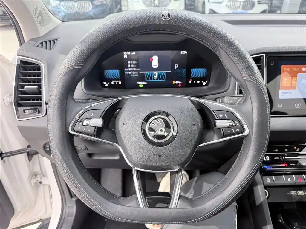 Škoda Karoq 2022 TSI280 Premium Edition фото 10