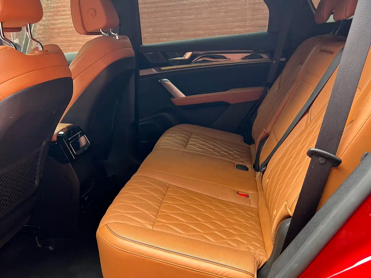 BYD Tang New Energy 2022 DM-p 215KM AWD Flagship фото 10