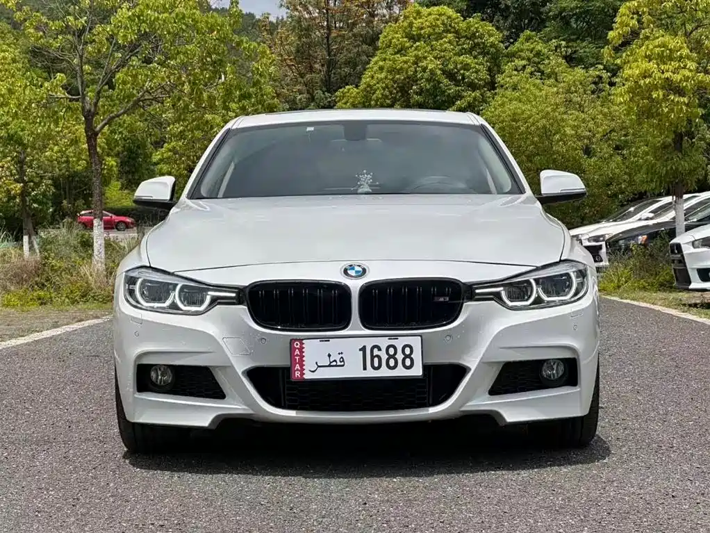 BMW 3 Series 2019 320Li M Sport Package фото 2