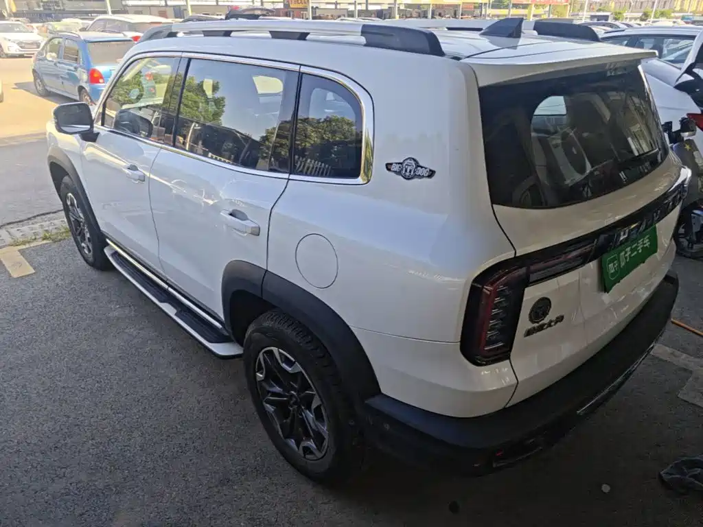 Haval Dargo 2021 2021 2.0T DCT AWD Howling Celestial Dog Edition