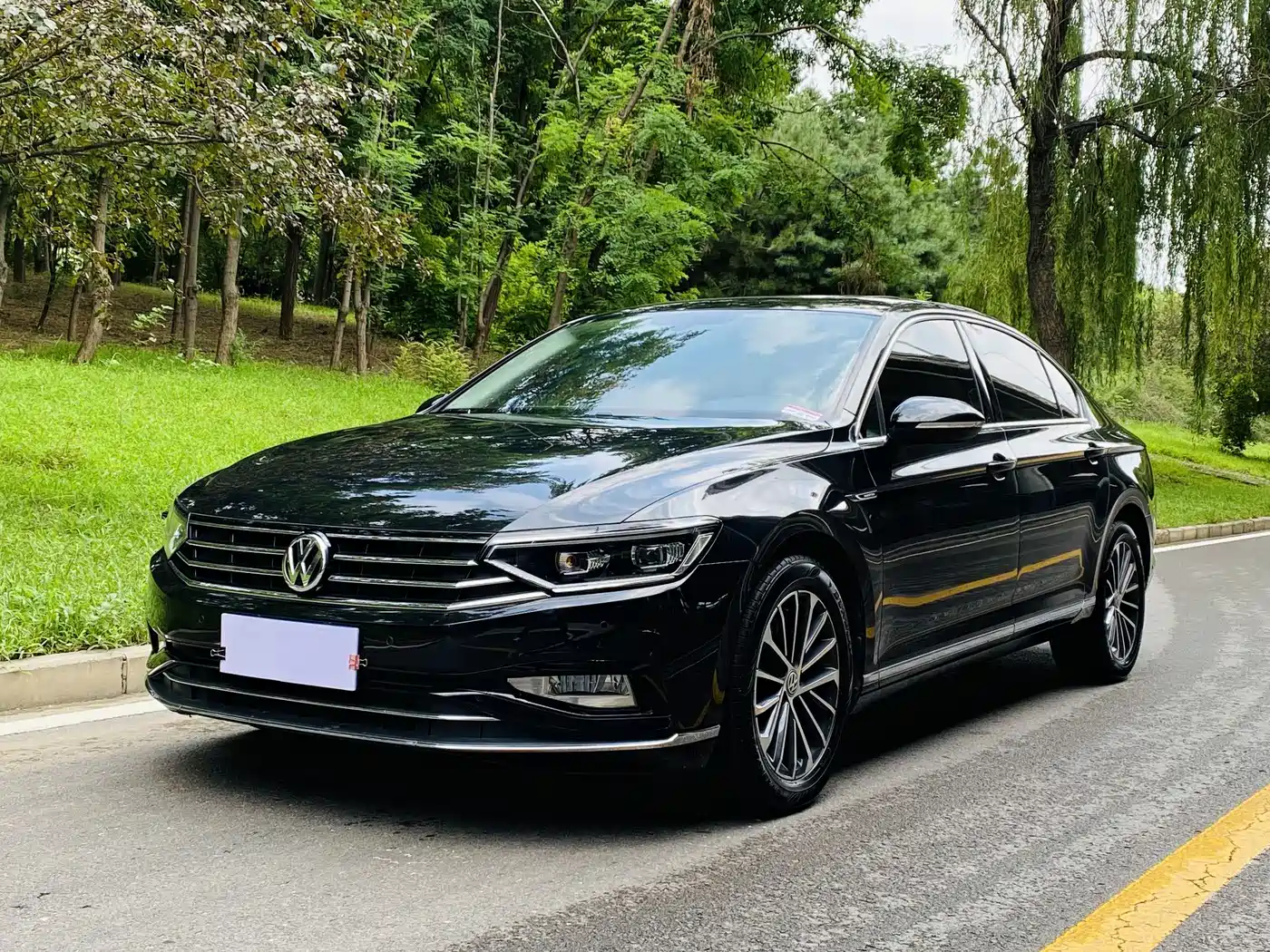  Volkswagen Magotan 2020 330TSI DSG Luxury