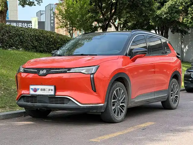  Weltmeister Weltmeister W6 2021 520km PRO All-round Edition