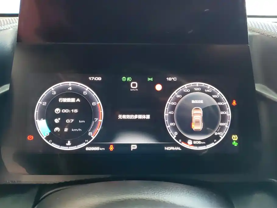 Haval Big Dog 2021 1.5T DCT 2WD Border Collie Edition фото 14