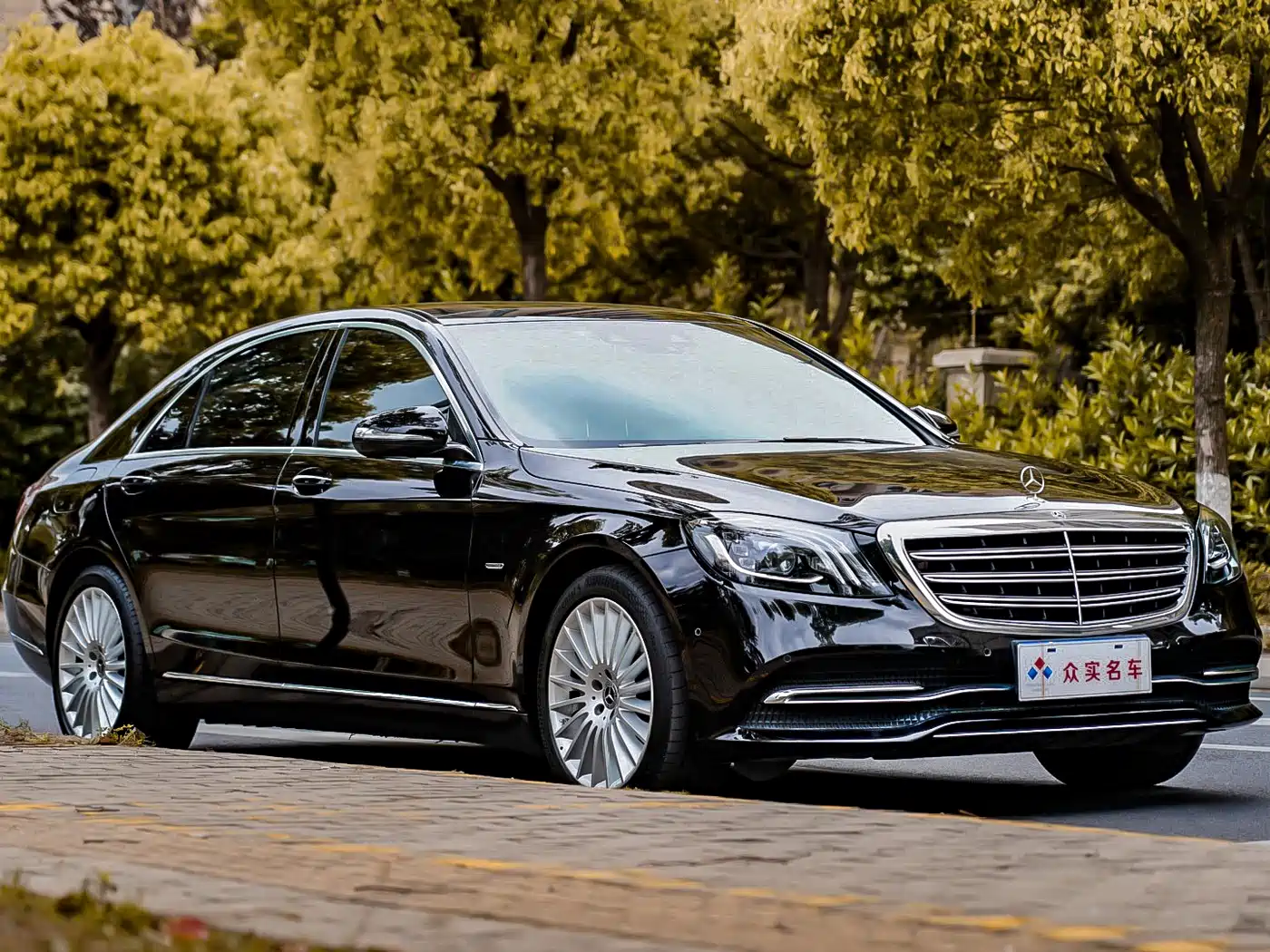 Mercedes-Benz S-Class 2020 S 350 L Business Edition Collector's Version фото 3