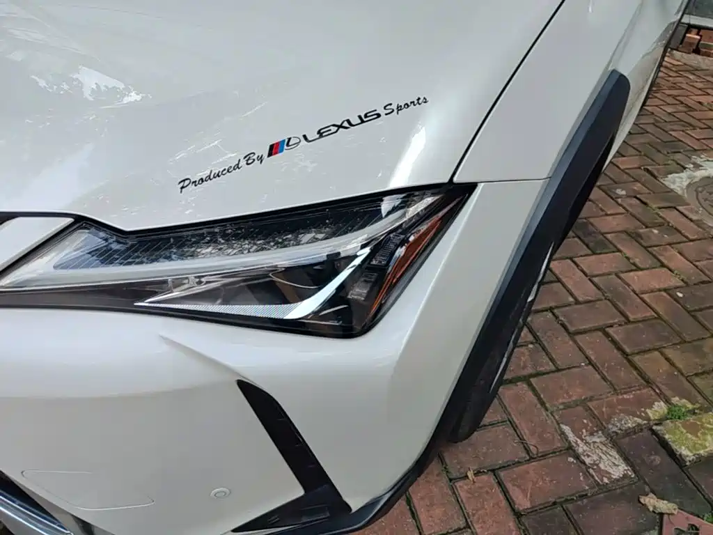 Фото 24 - Lexus UX