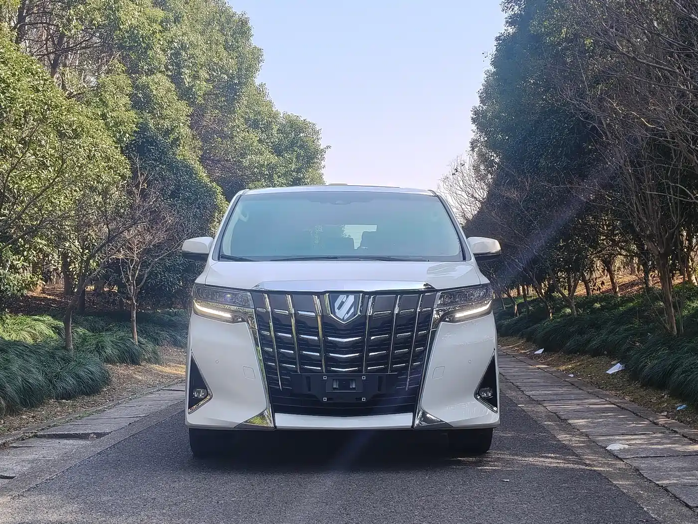 Toyota Alphard 2021 Hybrid 2.5L Luxury фото 5