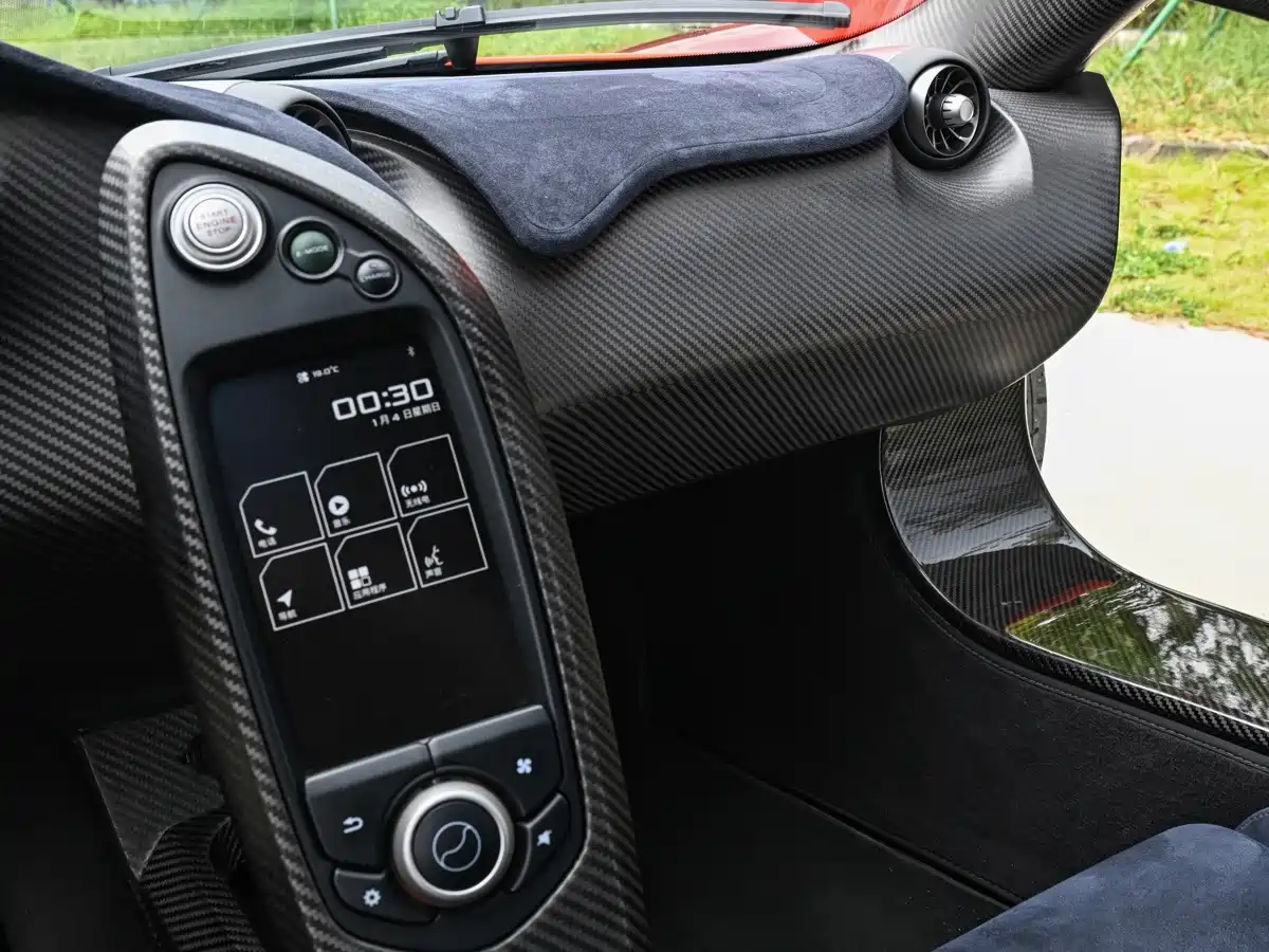 Photo 10 - McLaren P1