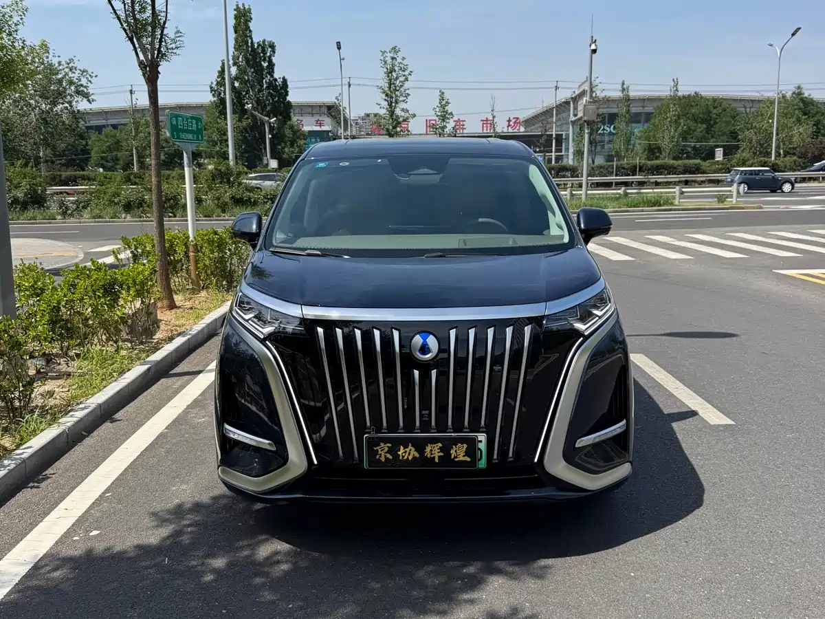 Denza D9 2022 EV 600 4WD Flagship