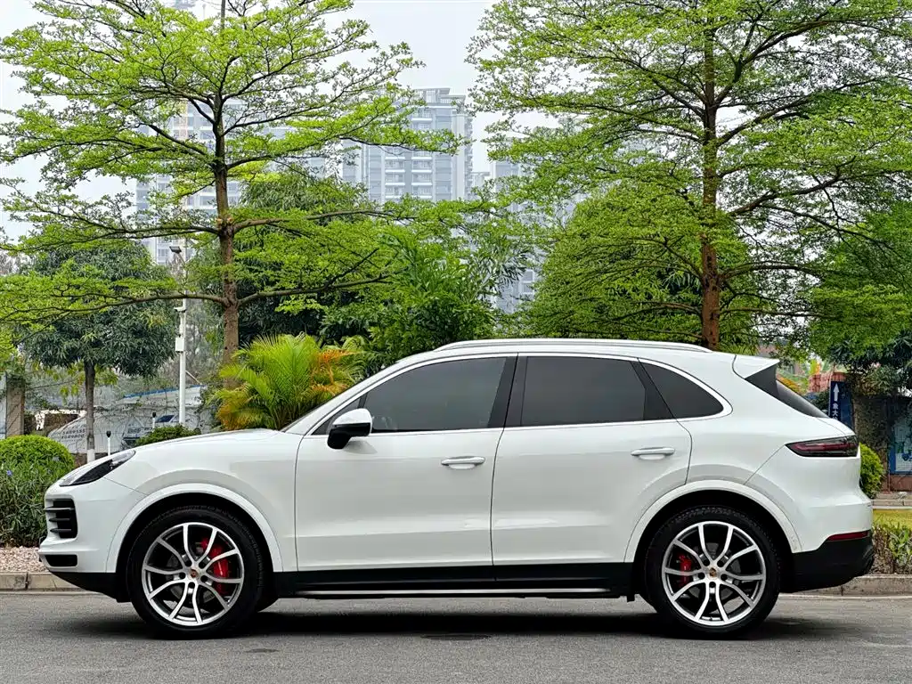 Porsche Cayenne 2018 Cayenne 3.0T фото 5