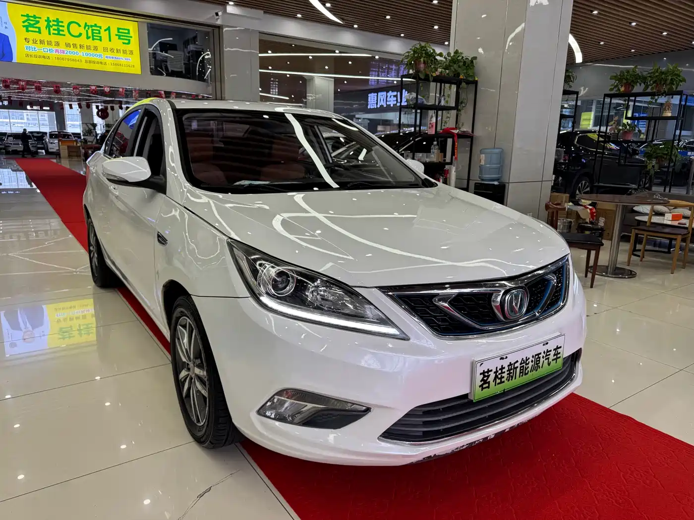 CHANGAN YIDONG NEW ENERGY