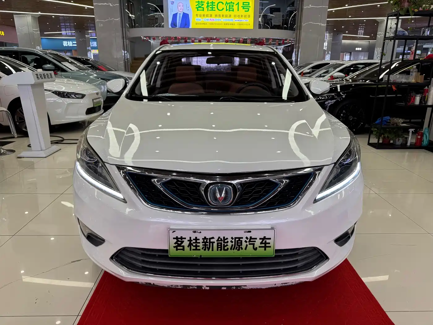 CHANGAN YIDONG NEW ENERGY