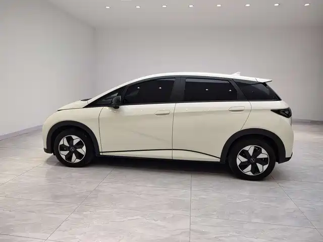 Фото 3 - BYD Dolphin