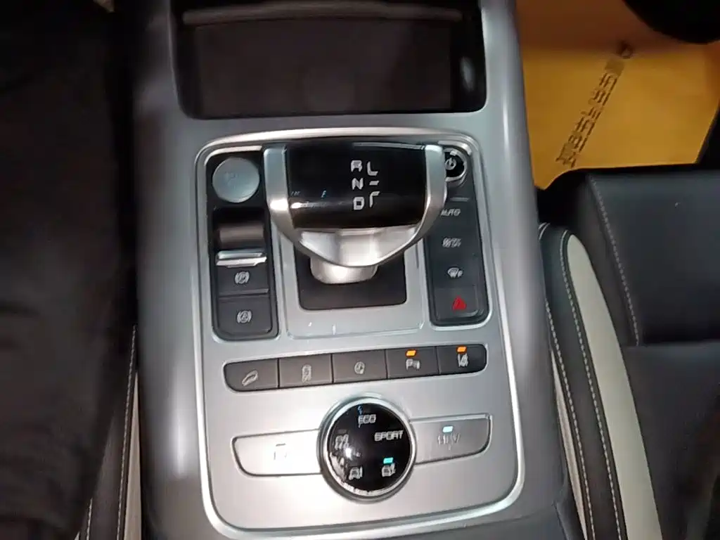 Denza X 2020 2020 PHEV Sport Edition