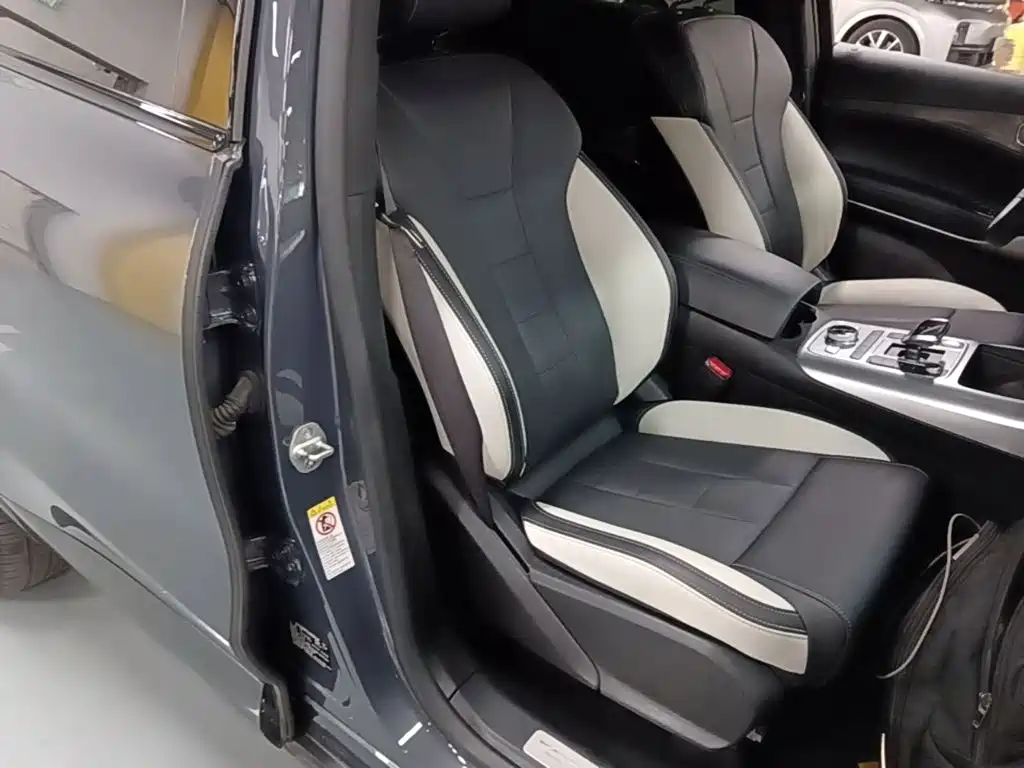 Denza X 2020 2020 PHEV Sport Edition
