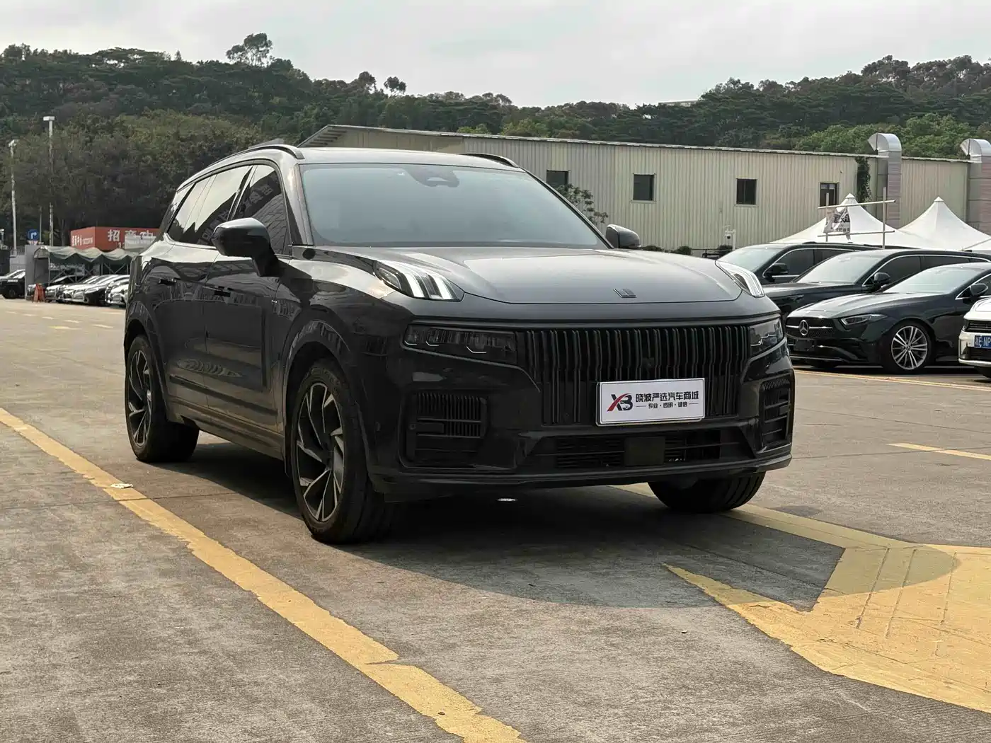 Lynk & Co 09 2021 2.0T Halo 6-Seater фото 3