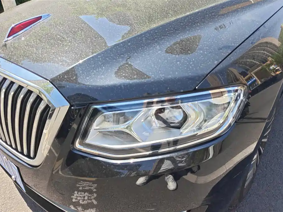 Hongqi H7 2019 2.0T Elite Edition фото 5