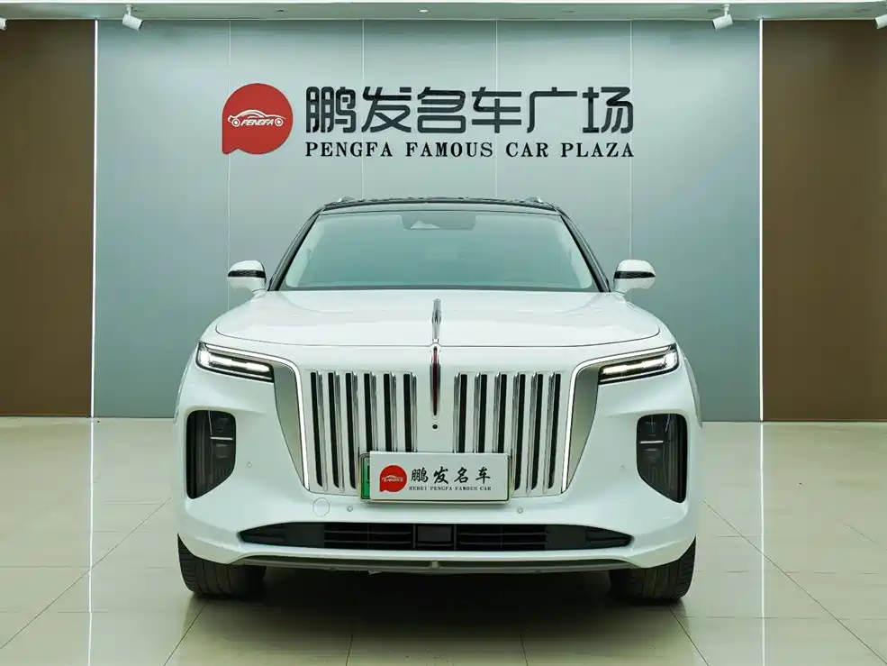 Hongqi E-HS9 2022 660km Qi Chang Edition (6-seater) фото 2