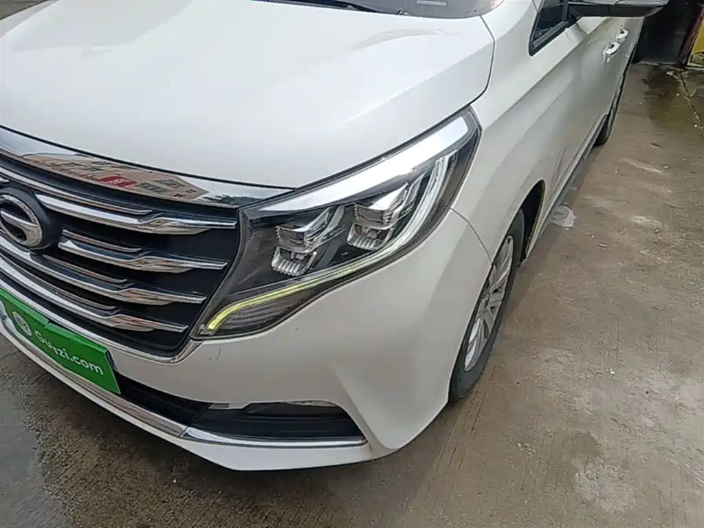 GAC Trumpchi Trumpchi M8 2020 390T Premium фото 24