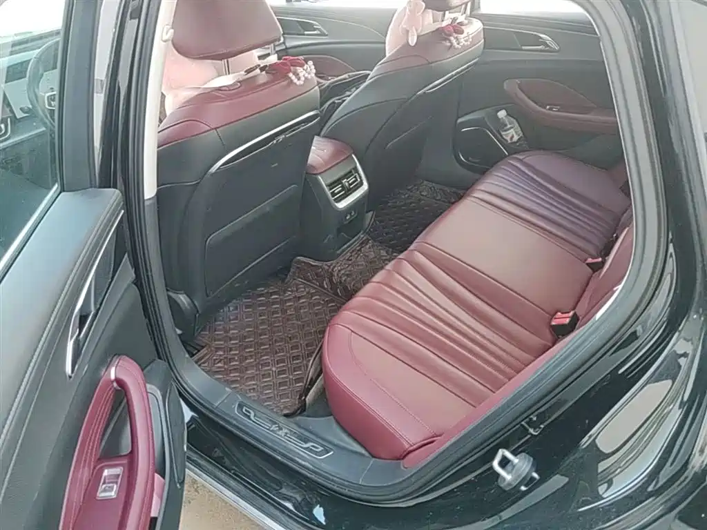 Hongqi H5 2023 2.0T Auto Smart Connect Flag Comfort фото 24