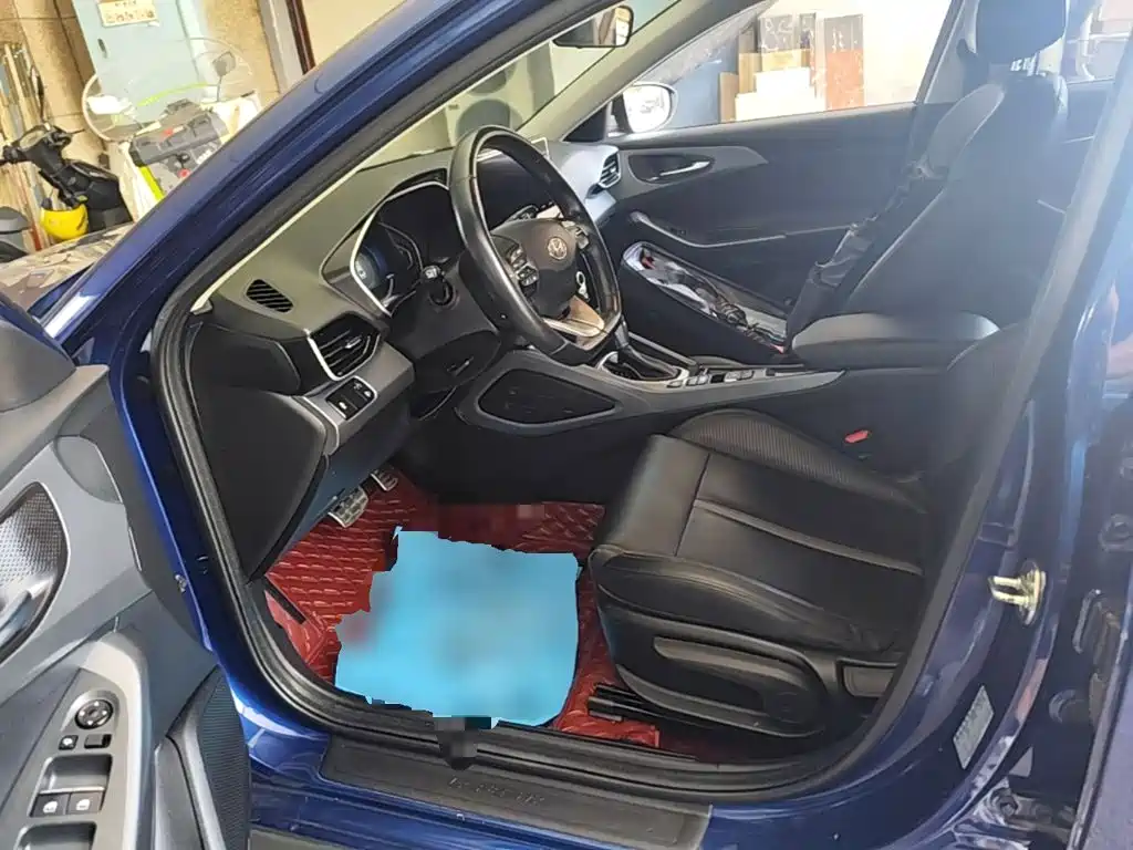Photo 15 - Hyundai Lafesta