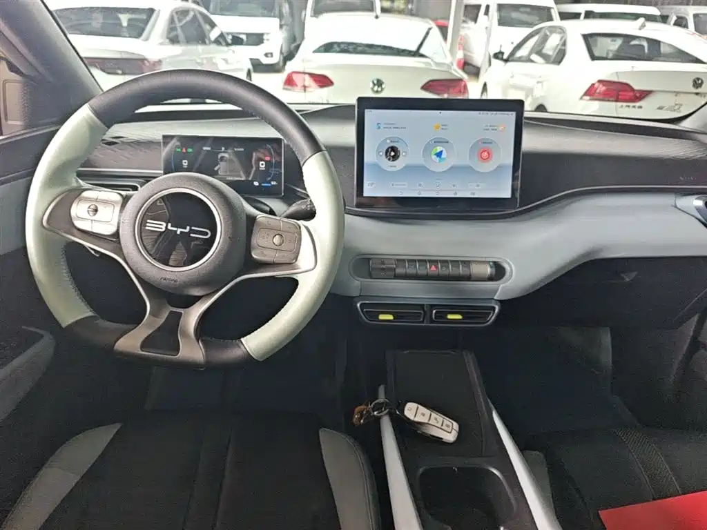 BYD Seagull 2023 Vitality Edition фото 10