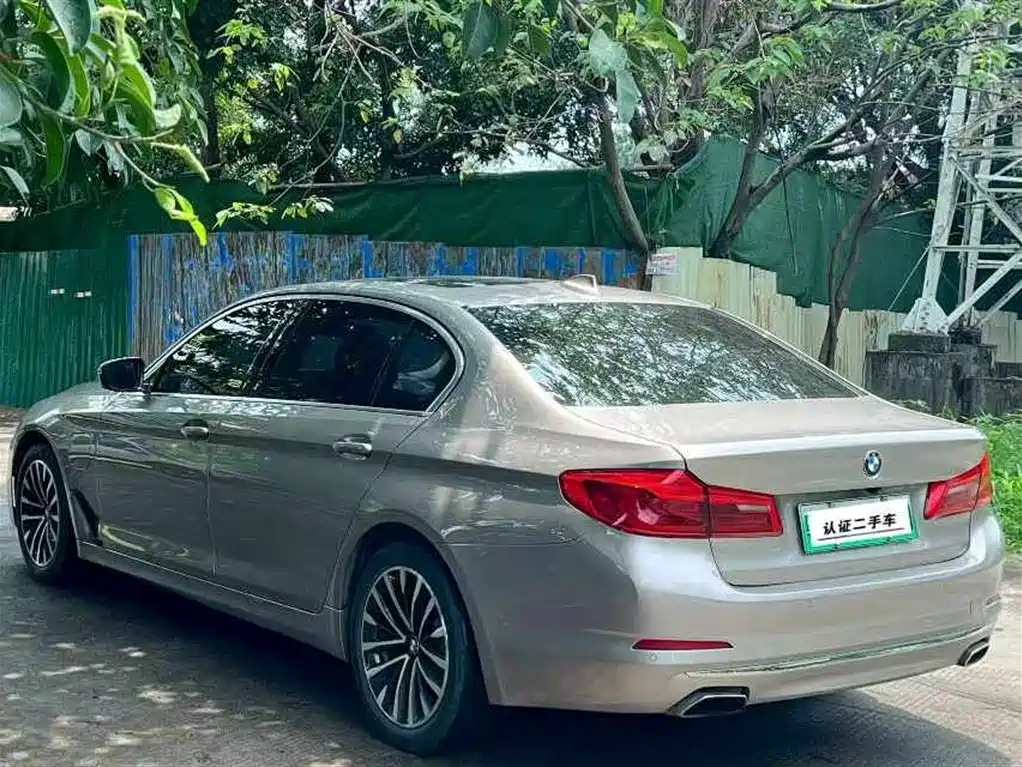 BMW 5 Series New Energy 2020 530Le Luxury Package фото 7