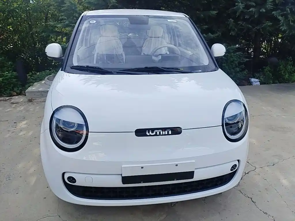 Changan Qiyuan Changan Lumin 2026 2026 Model 205km Treasure Edition