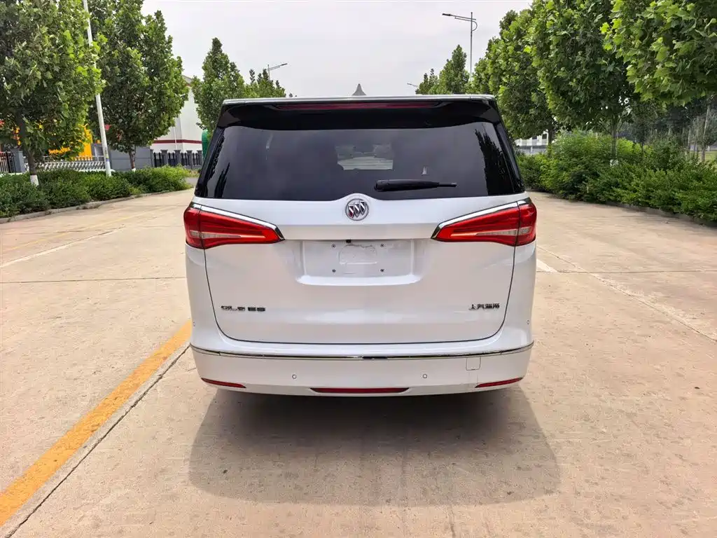 Buick GL8 2018 ES 28T Luxury Type China VI фото 15