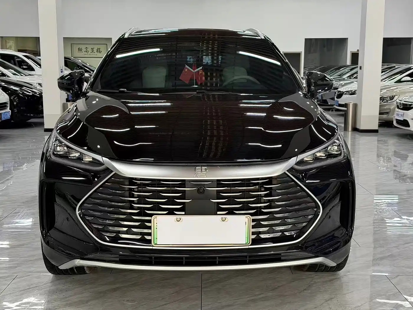BYD Tang New Energy 2025 Smart Driving Edition DM-i 115KM Flagship фото 2