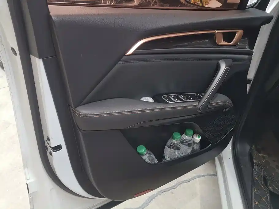 Baojun RS-5 2019 2019 1.5T CVT Intelligent Driving Luxury Edition China V
