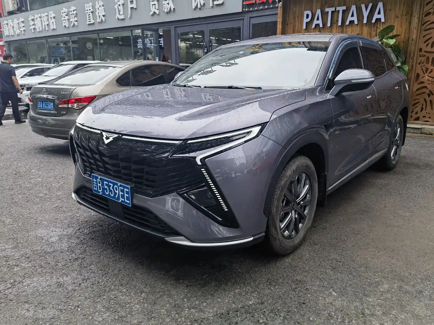 Cowin Kunlun 2025 1.5T Plateau Edition 5-seater