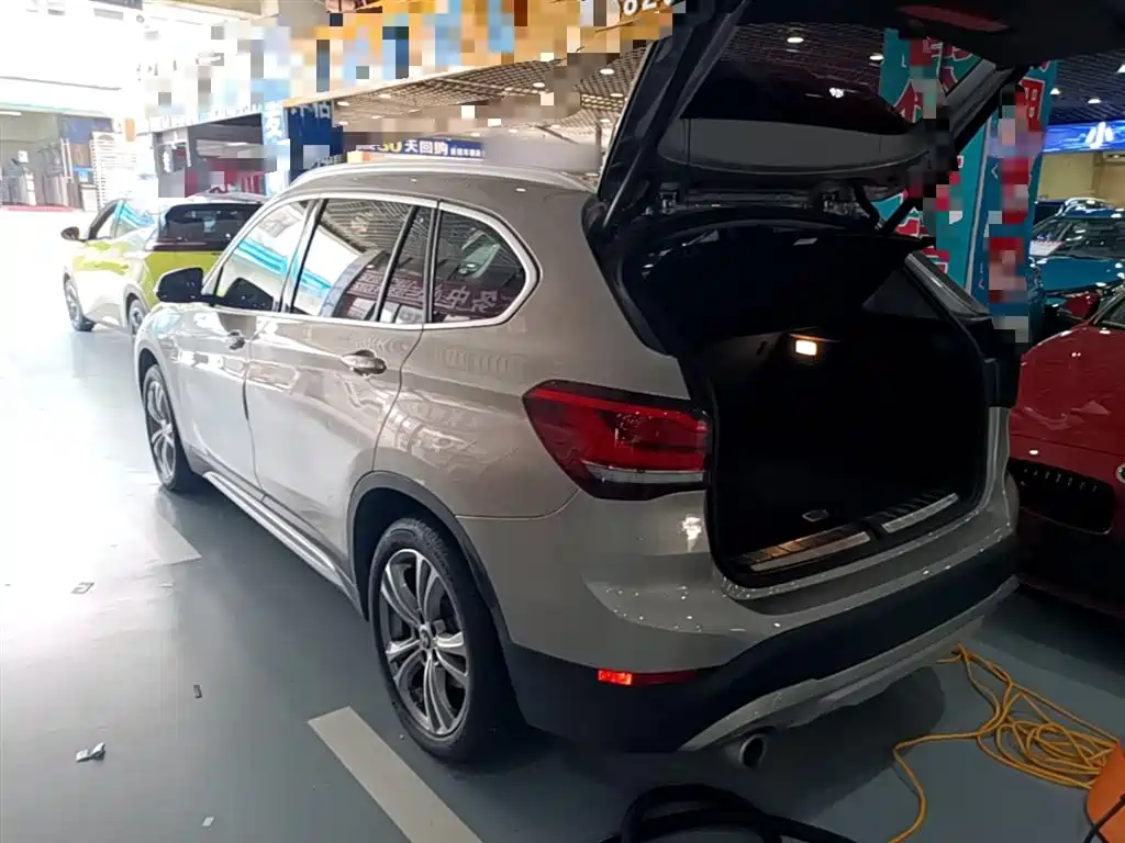 BMW X1 New Energy 2020 xDrive30Le Premium Edition фото 5