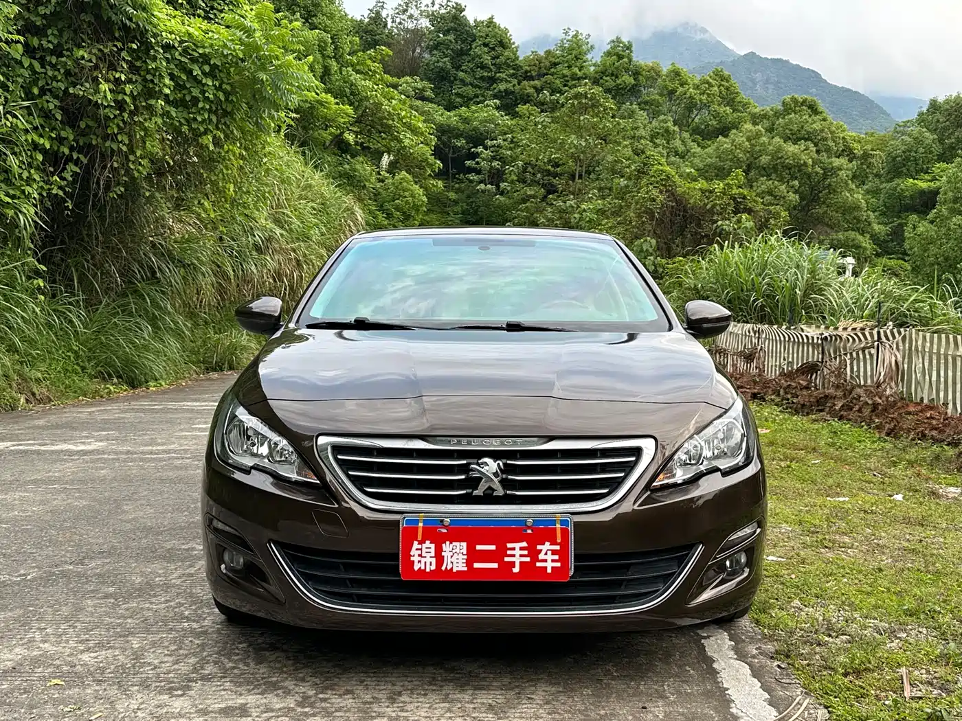 Peugeot 408 2014 1.8L Automatic Luxury Edition фото 4