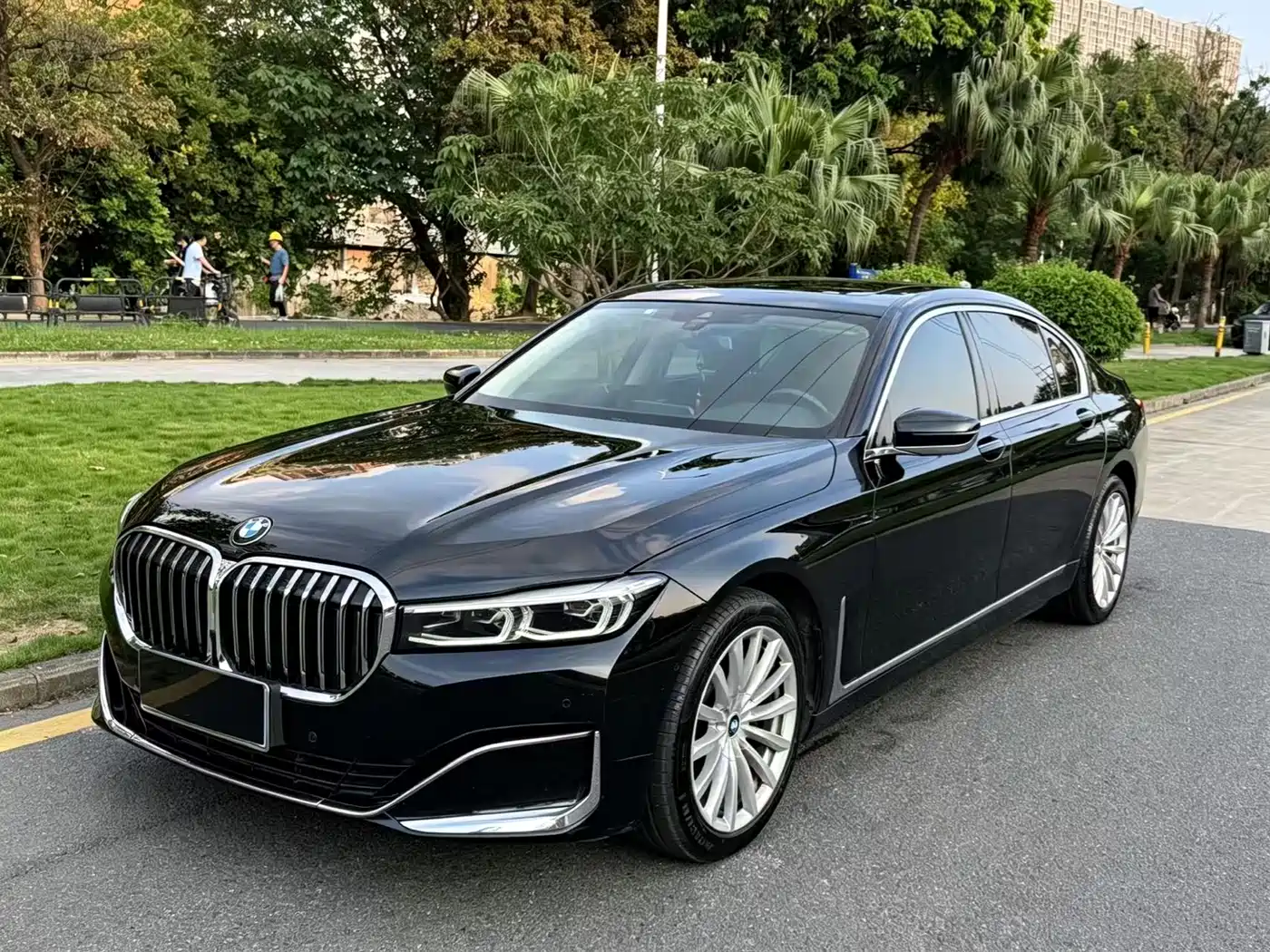 BMW 7 Series 2019 730Li Luxury Package