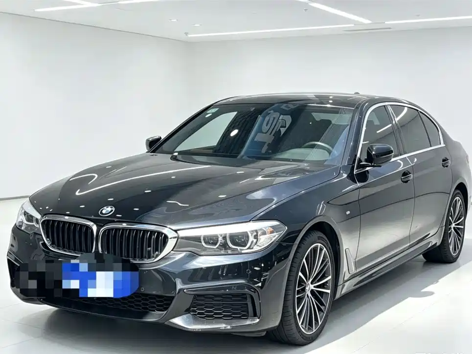 BMW 5 Series 2019 530Li Leading M Sport Package