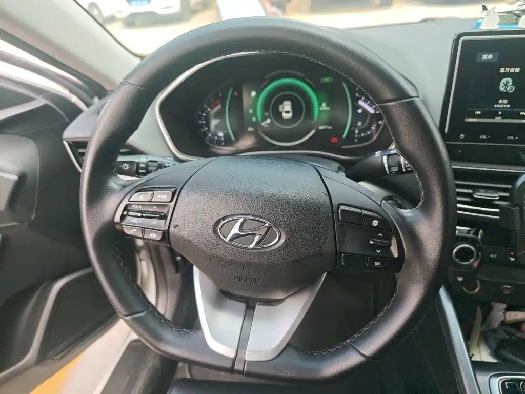 صورة 3 - Hyundai Lafesta
