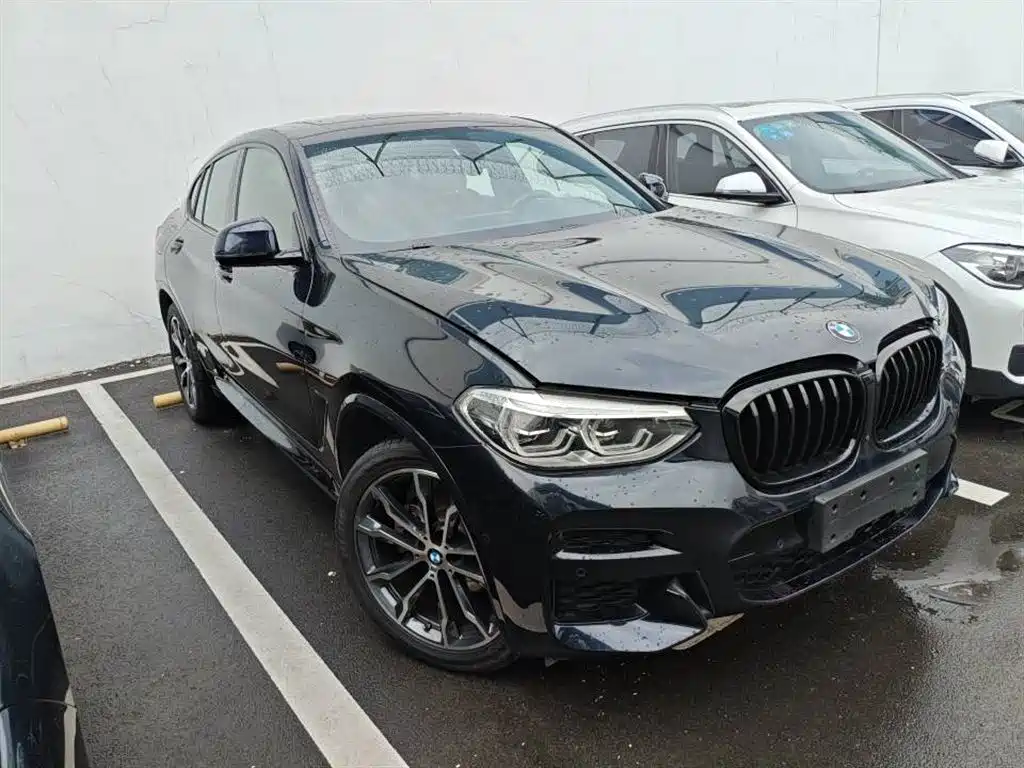 BMW X4 2021 xDrive 25i M Sport Glorious Night Package фото 5