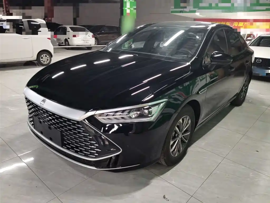 BYD Qin PLUS 2023 Champion Edition DM-i 55KM Leading фото 2