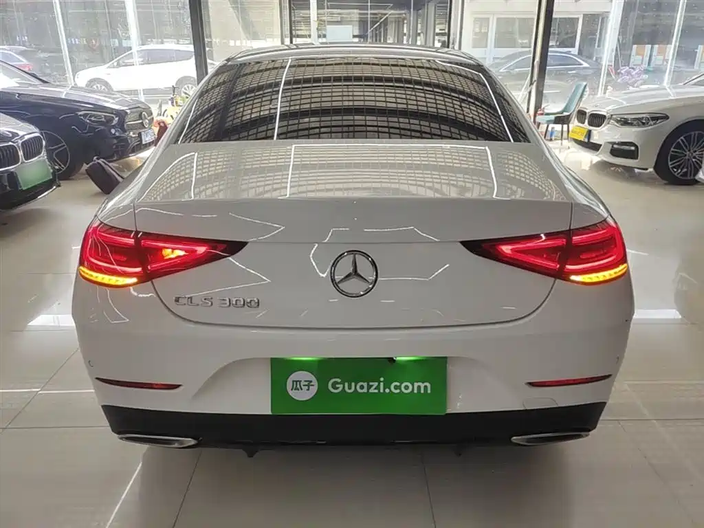 Mercedes-Benz CLS 2020 CLS 300 Dynamic фото 6