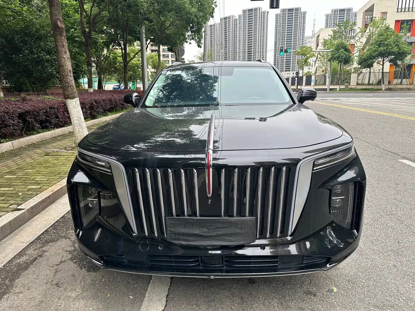 Hongqi E-HS9 2021 460km Flagship Comfort 6-seater фото 2
