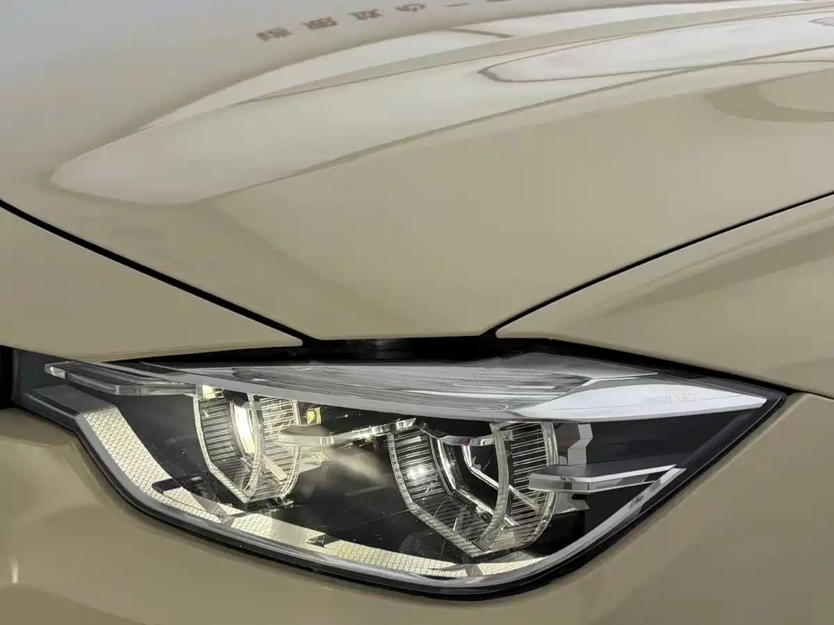 BMW 3 Series 2018 320Li Leading M Sport Package фото 13