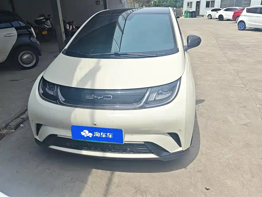BYD Dolphin 2023 420km Fashion Edition фото 2