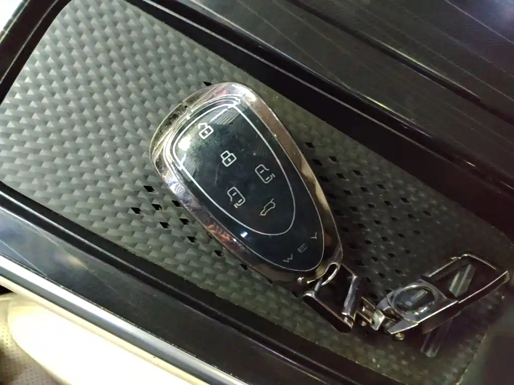 WEY Alpine 2024 2023 AWD Flagship